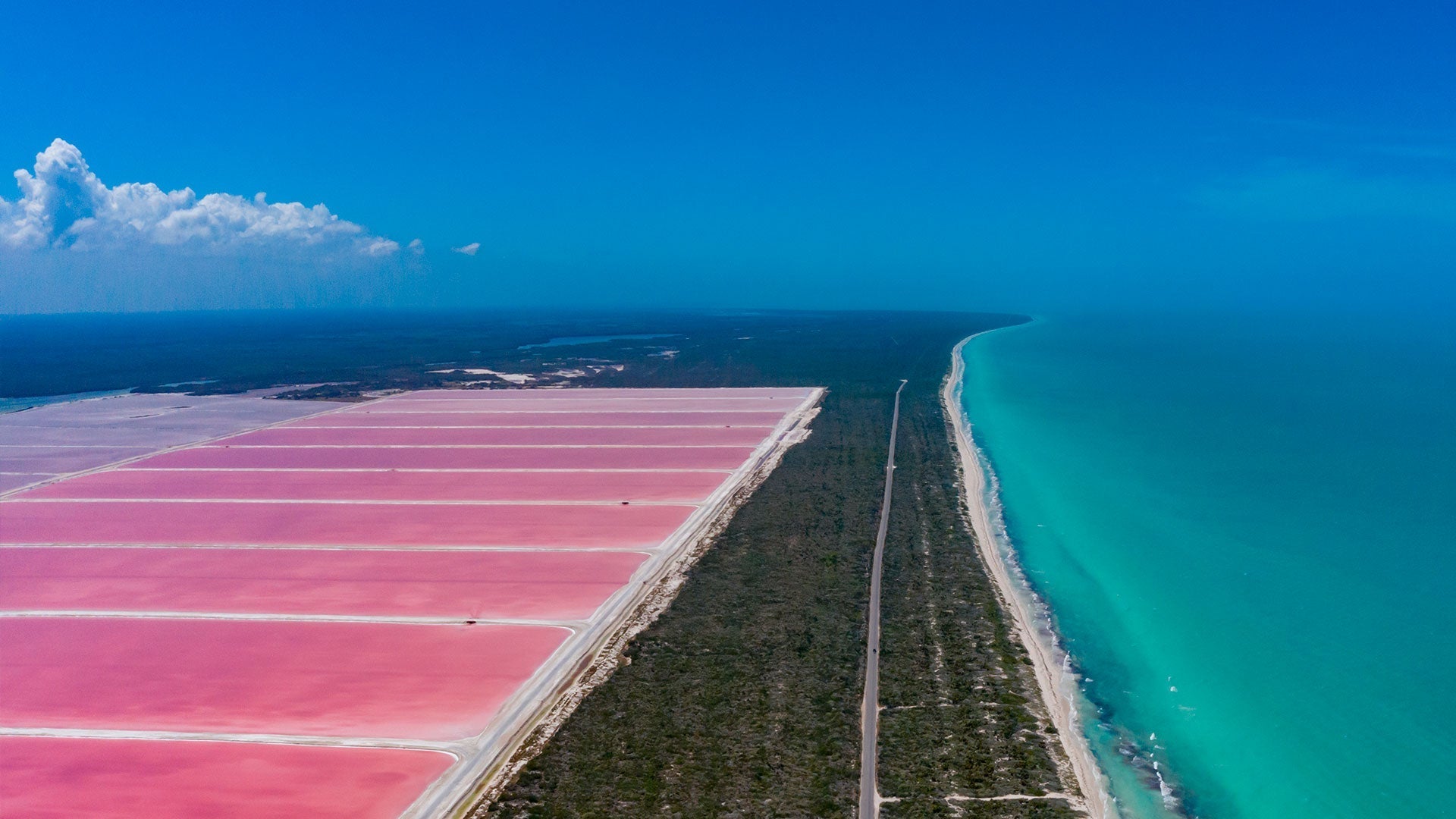 Río Lagartos y Las Coloradas: El Lago Rosa de México