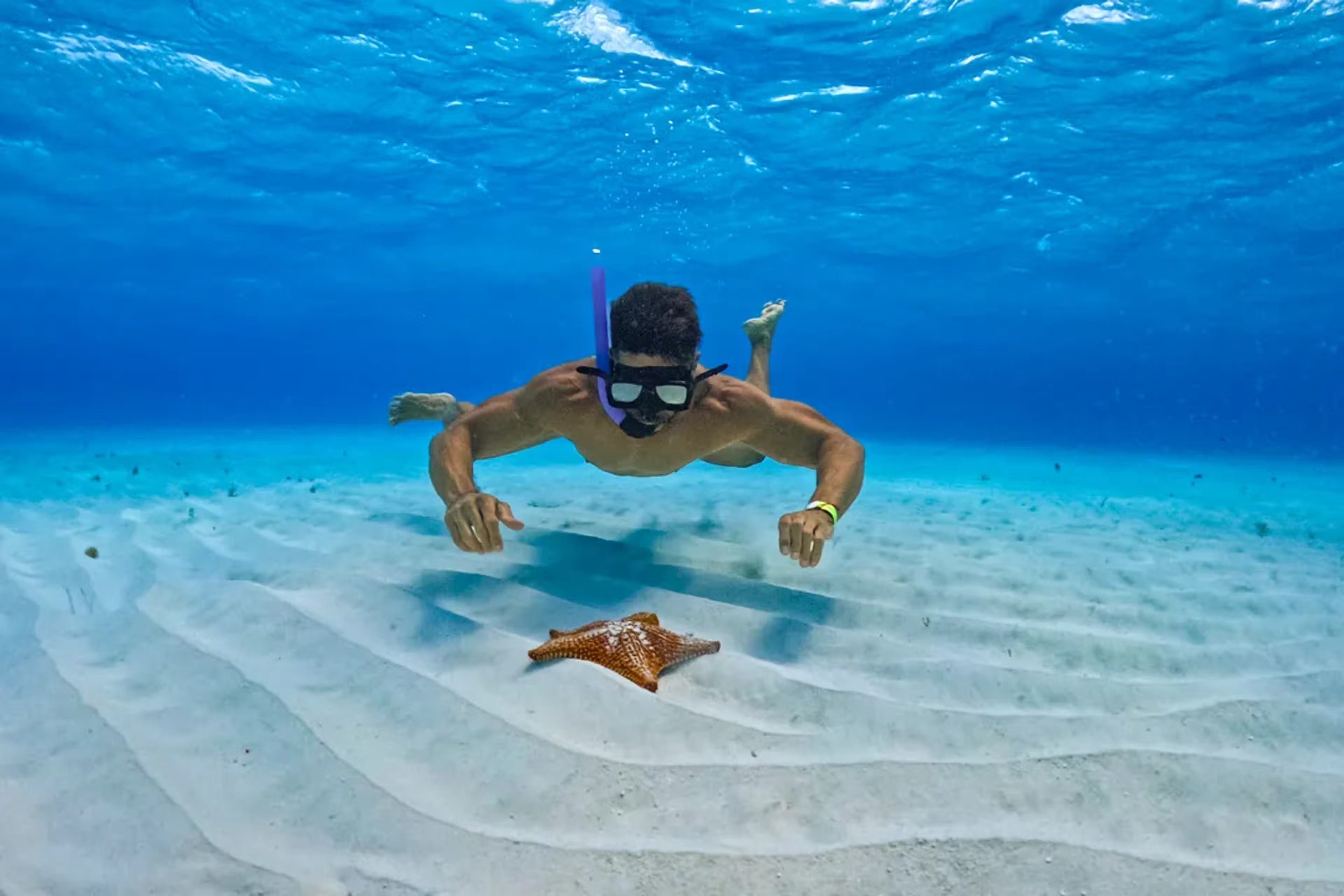 Tours en Cozumel | Mejores Excursiones y Actividades