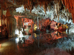 Nado con Tortugas y Cenotes