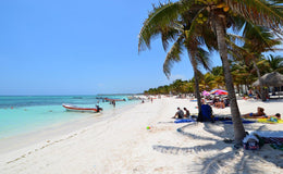 Tulum Cenote y Nado con Tortugas