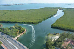 Jungle Tour en Cancún