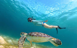 Tulum Cenote y Nado con Tortugas