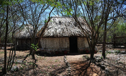 Tulum y Coba