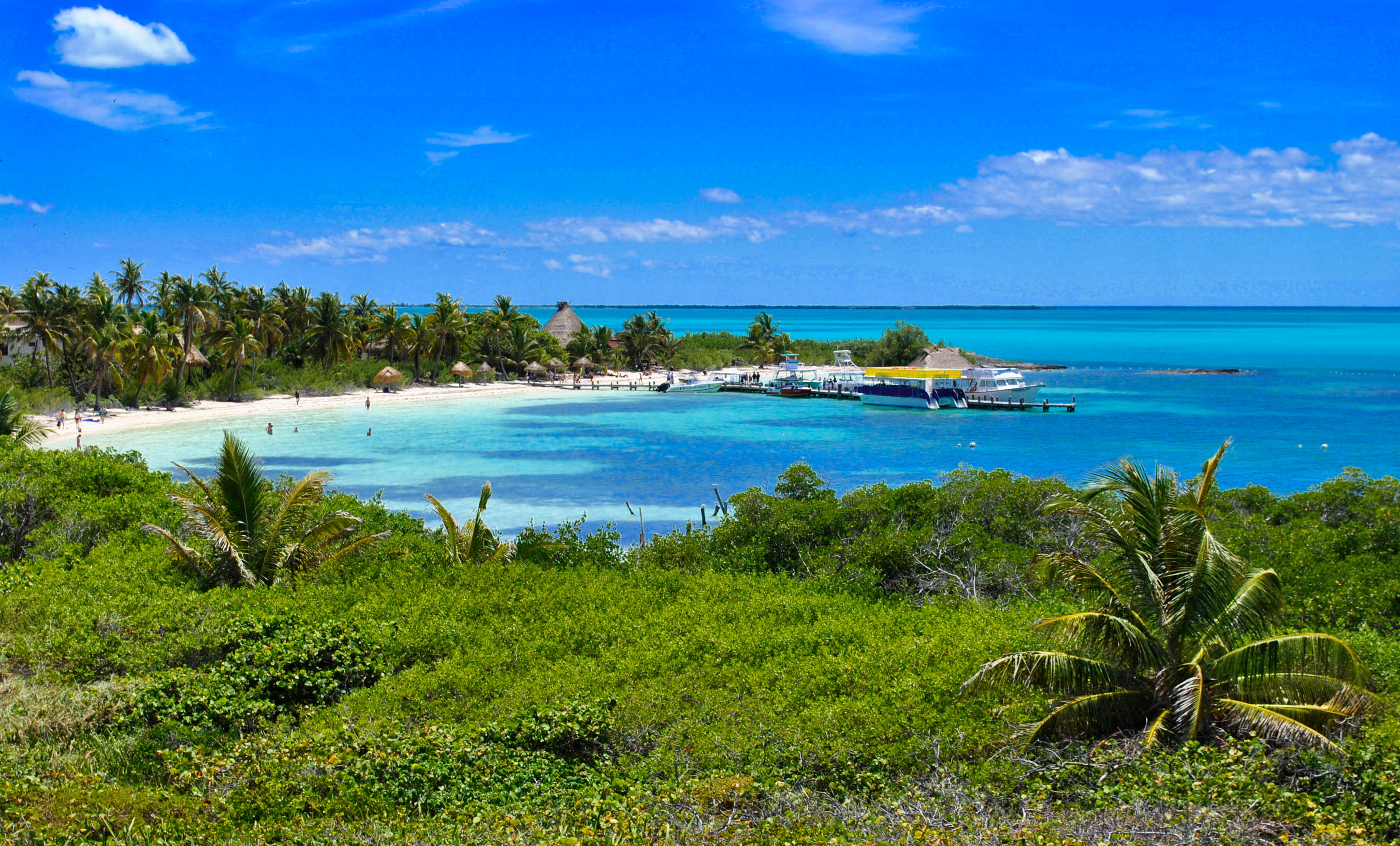 Isla Contoy & Isla Mujeres