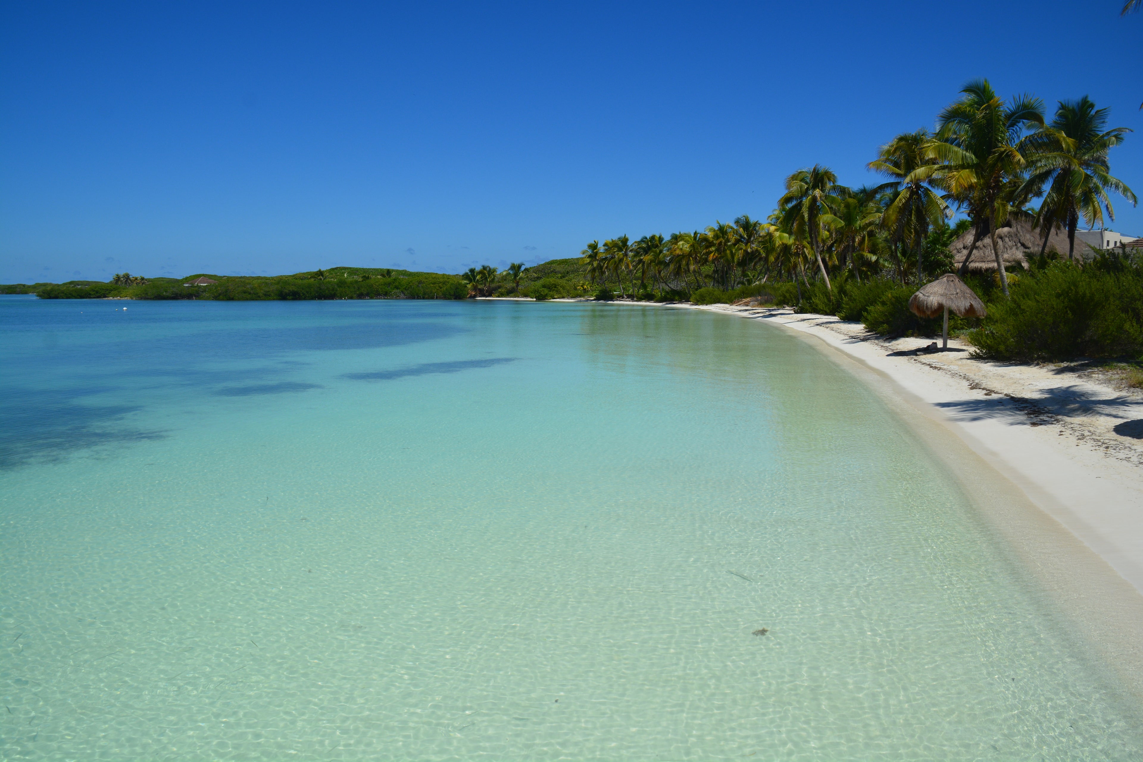 Isla Contoy & Isla Mujeres