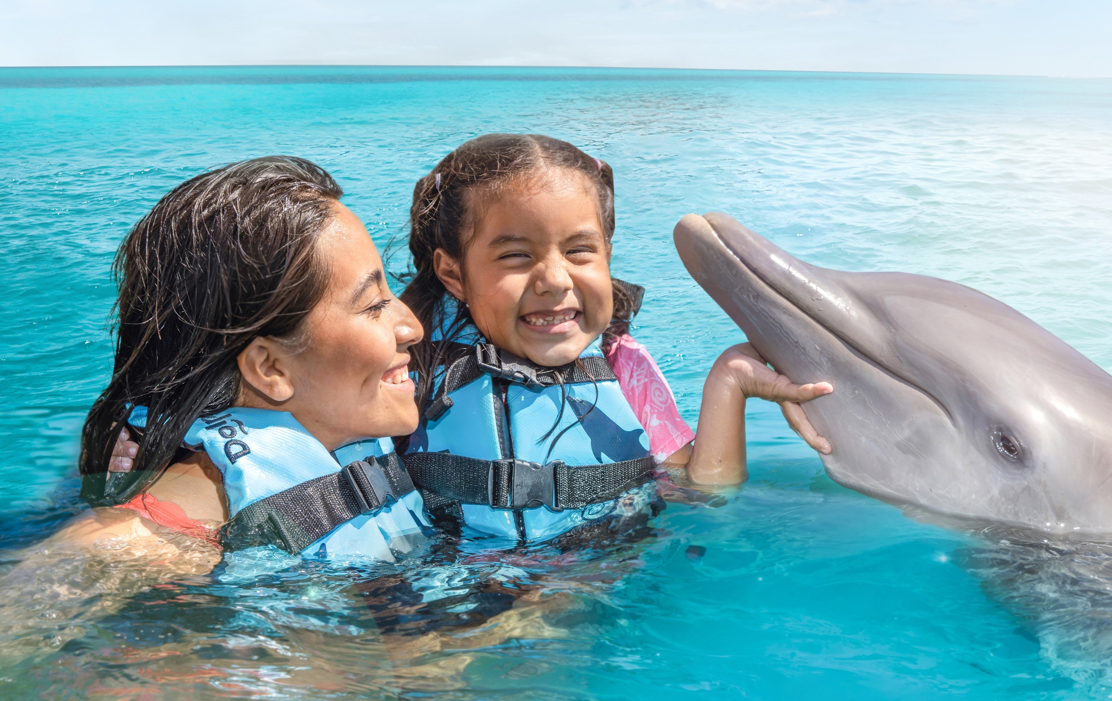 Nado con Delfines Encounter (Cancún - Isla Mujeres)