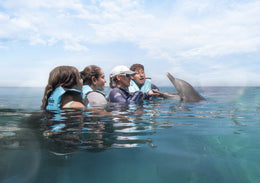 Nado con Delfines Connection (Playa del Carmen)