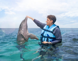 Nado con Delfines Encounter (Riviera Maya)