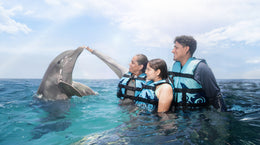 Nado con Delfines Encounter (Riviera Maya)