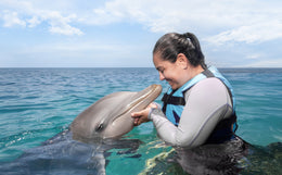 Nado con Delfines Connection (Playa del Carmen)