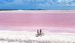 Rio Lagartos - Las Coloradas Exclusivo