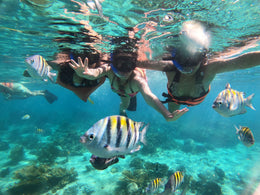 Nado con Tortugas y Cenotes