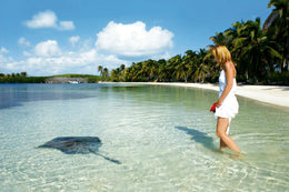 Isla Contoy & Isla Mujeres