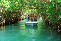 Jungle Tour en Cancún