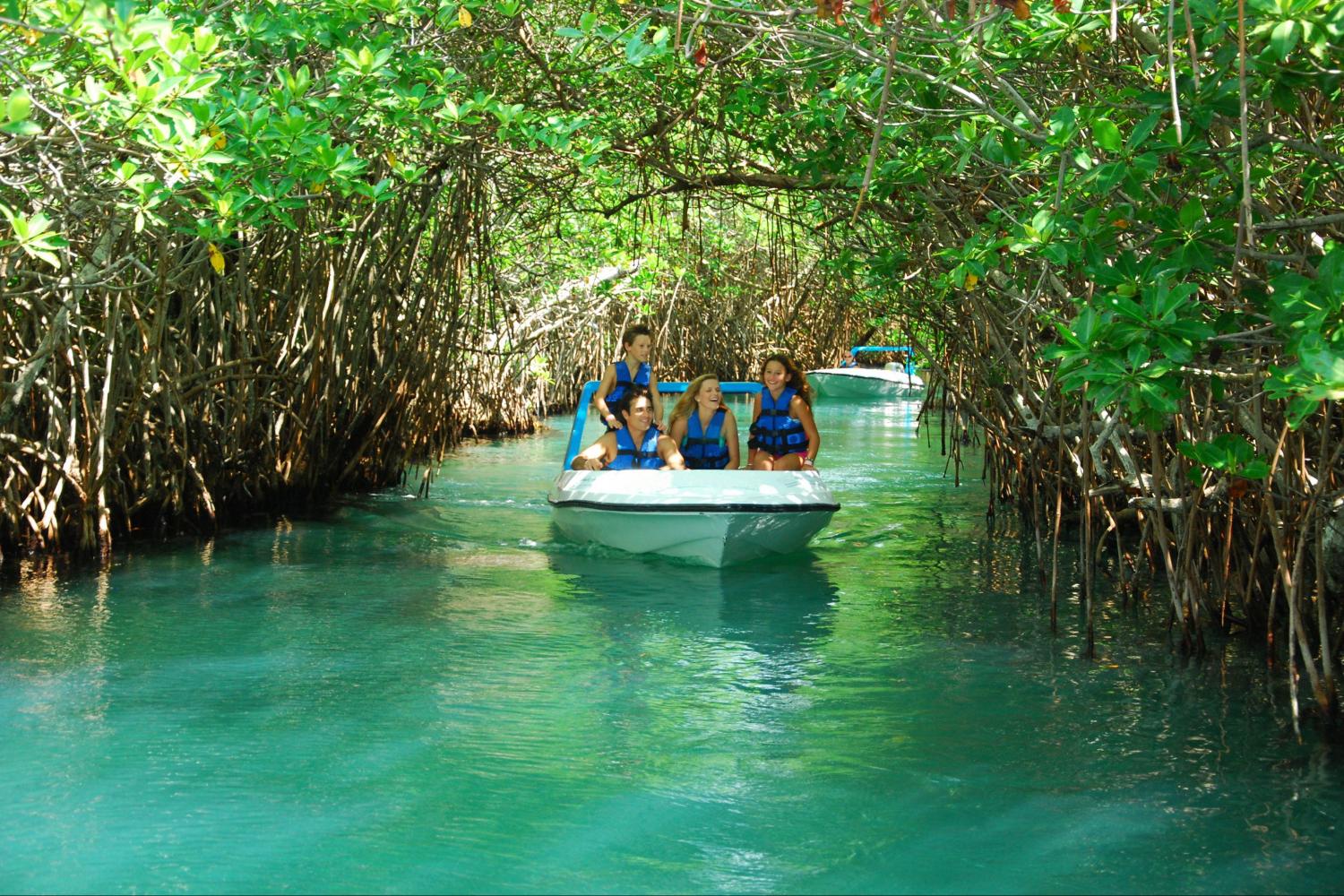 Jungle Tour en Cancún