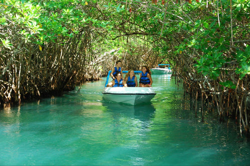 Jungle Tour en Cancún