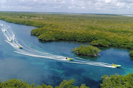 Jungle Tour en Cancún