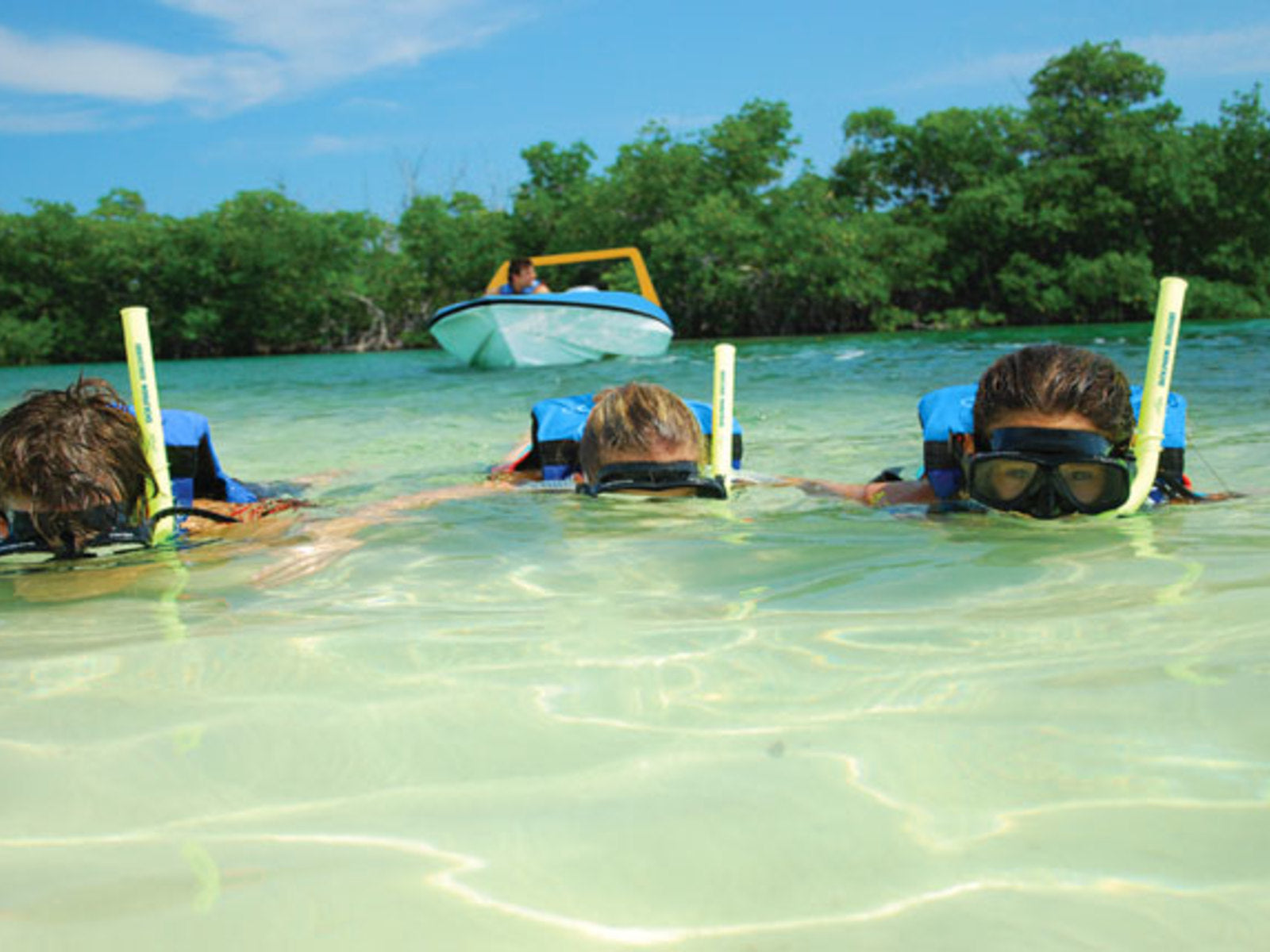 Jungle Tour en Cancún