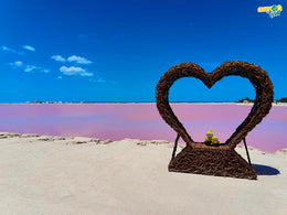 Rio Lagartos - Las Coloradas Exclusivo