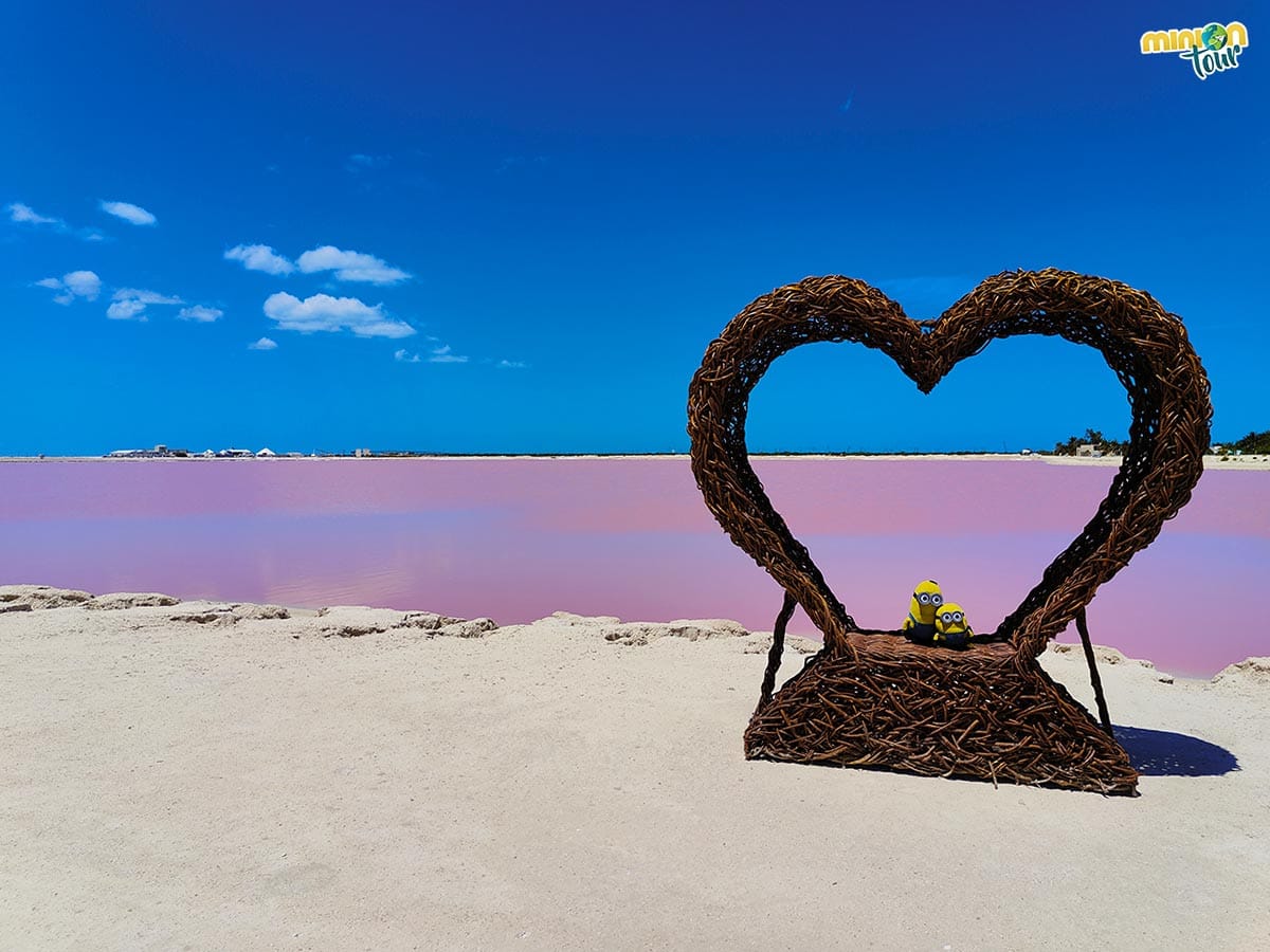 Rio Lagartos - Las Coloradas Exclusivo