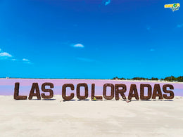 Rio Lagartos - Las Coloradas Exclusivo