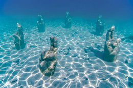 Tour en Catamarán a Isla Mujeres