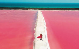 Rio Lagartos - Las Coloradas