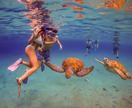Nado con Tortugas y Cenotes