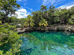 Nado con Tortugas y Cenotes