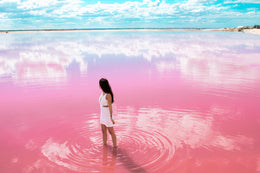 Rio Lagartos - Las Coloradas