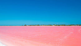 Rio Lagartos - Las Coloradas Exclusivo