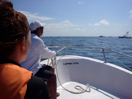Nado con Tiburón Ballena
