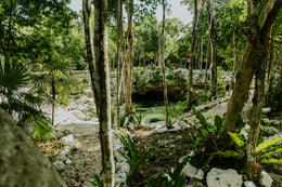 Ek Balam y Cenote Exclusivo