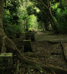 Tulum y Coba Exclusivo