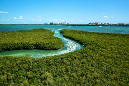 Jungle Tour en Cancún