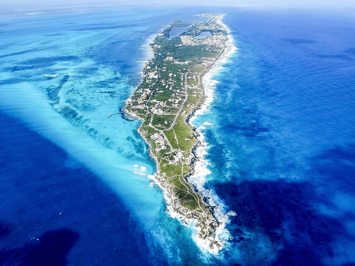 Isla Contoy & Isla Mujeres
