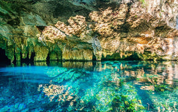 Nado con Tortugas y Cenotes