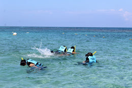 Jungle Tour en Cancún